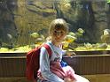 WLA_2009 (139)